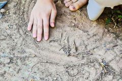 615347709_910740698139490_5071558977799281123_n