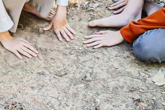 616413551_910740464806180_8617034391941466387_n