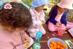 618723752_918035950743298_4840732270109506108_n