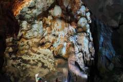 601445691_889872493559644_1496023707323078076_n