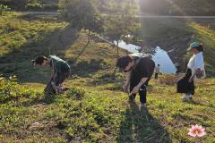 601854956_889871270226433_8953697435196128289_n