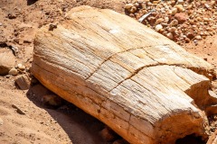 617091349_913809341165959_3723053884385418235_n