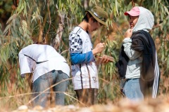 617803649_913809201165973_10955707465073779_n