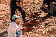 617896502_913809327832627_926123205920699979_n