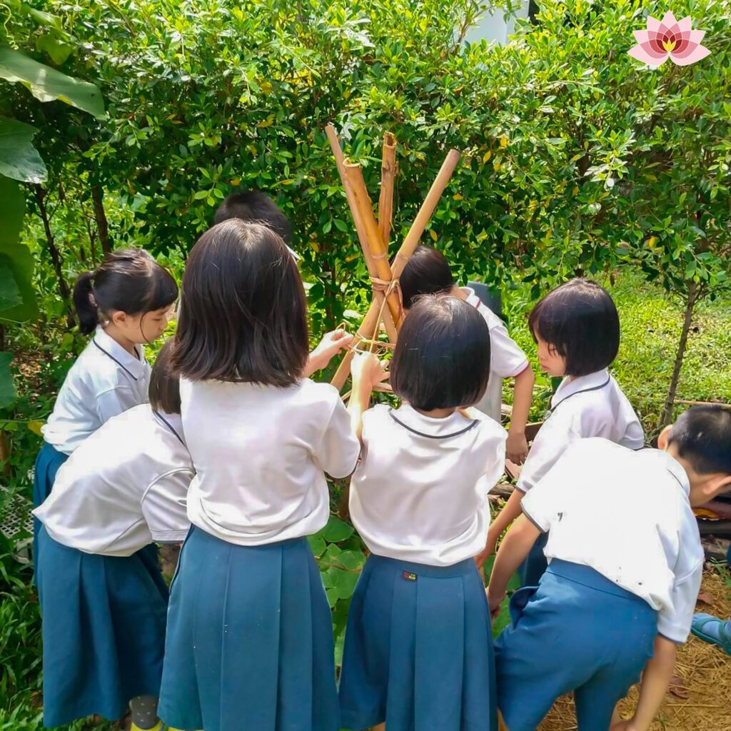 จากเมล็ดฟักทองในจานอาหาร สู่ “บันไดบ้าน” ของเจ้าต้นฟักทองนักเดินทาง